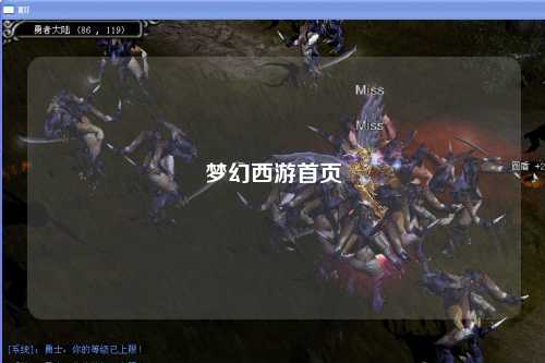 梦幻西游首页