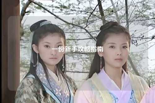 一份新手攻略指南
